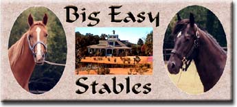 BIG EASY STABLES - Breeders of Tennessee Walking Horses, Racking Horses, and Spotted Saddle Horses in Louisiana. Standing Shake's Son of Midnite, and Sunny P's Sun Dust Go Boy. Specializing in sales of natural gaited walkers for show, trail and pleasure.