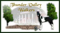 Thunder Valley Walkers